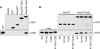 FIG. 8.