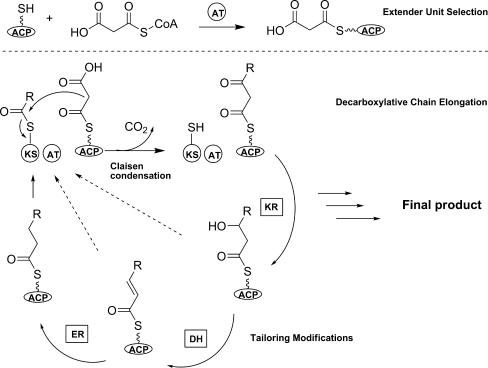 Fig. 1