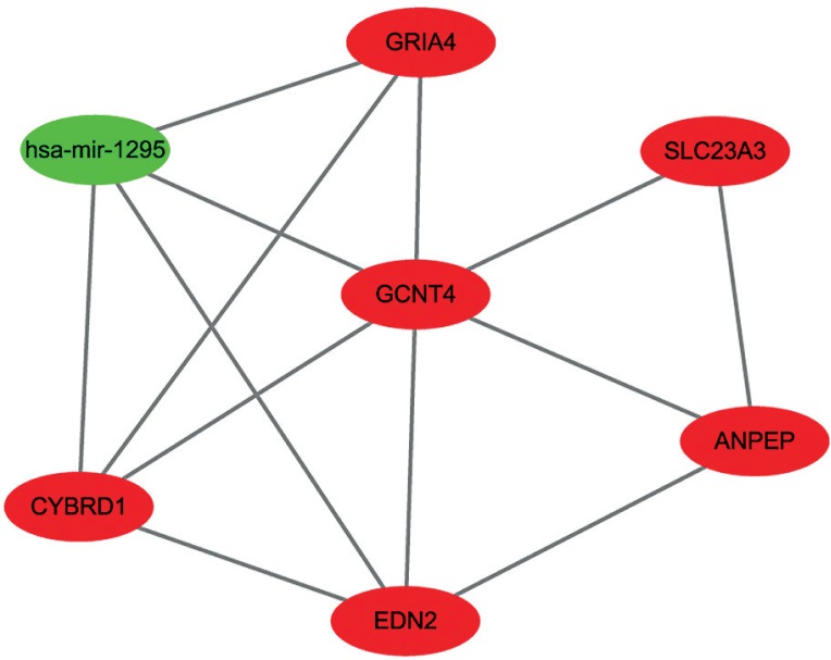 Fig. 11