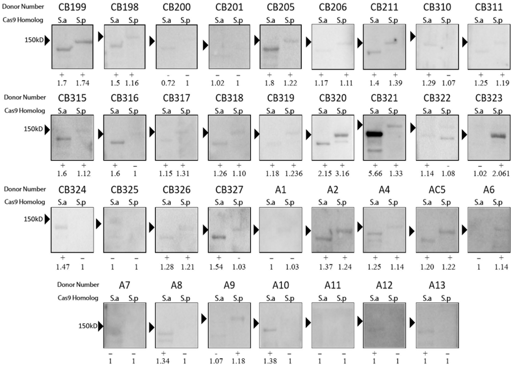 Extended Data Fig. 1 |