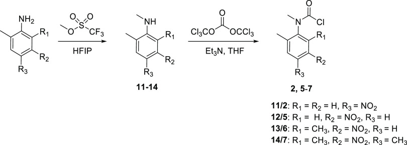 Scheme 3