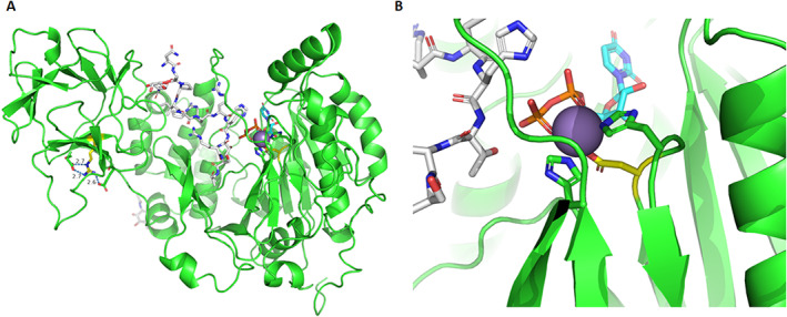 Fig. 2