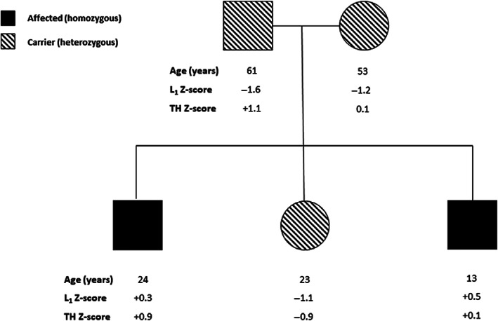 Fig. 4