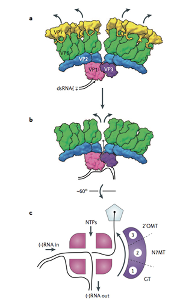 Fig. 4