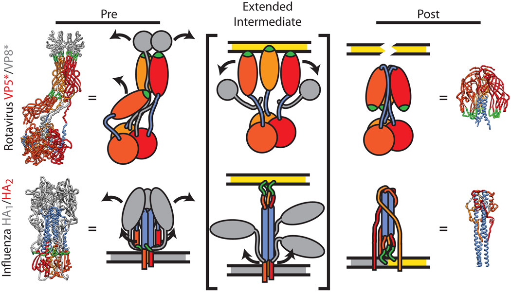 Fig. 3