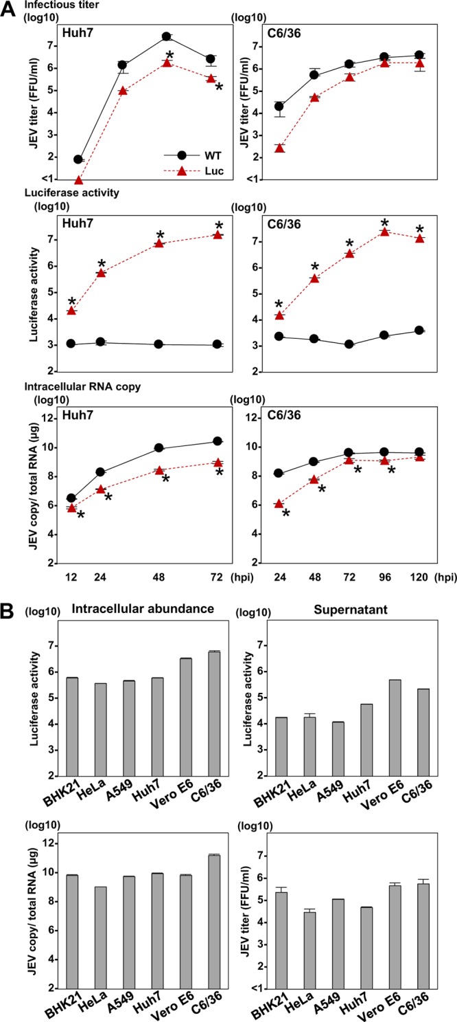 FIG 4