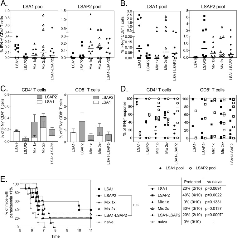 FIG 6