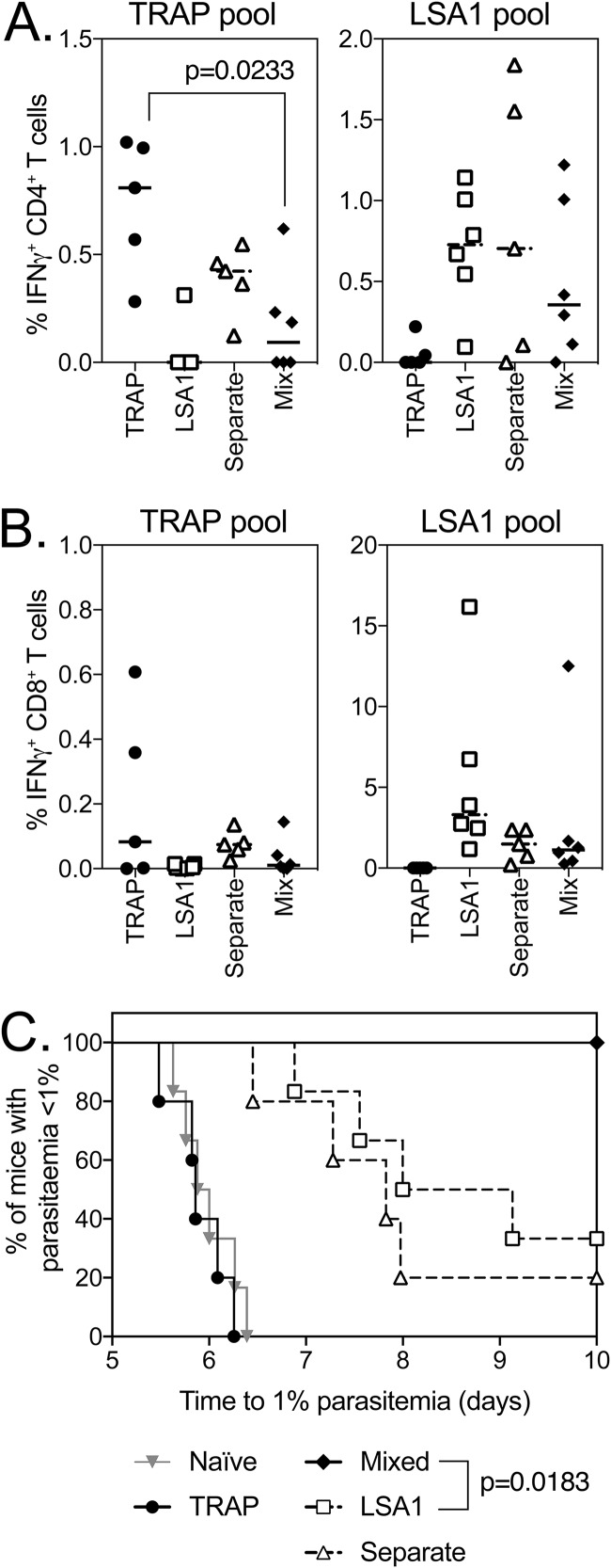 FIG 1