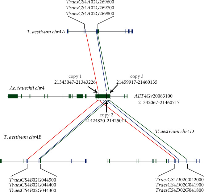 Figure 2