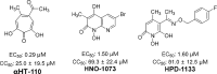 Figure 5