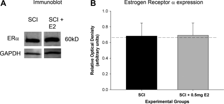 FIG. 9.