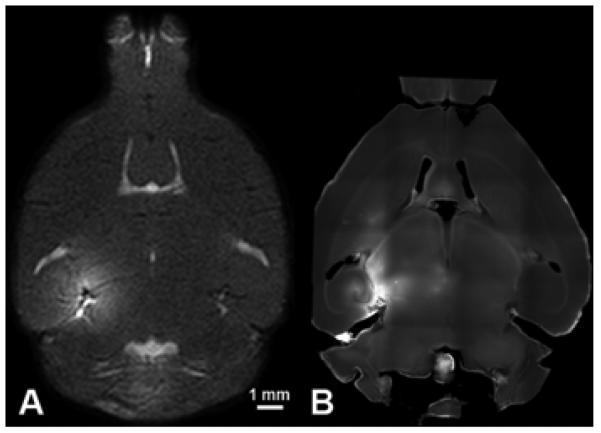 Fig. 6