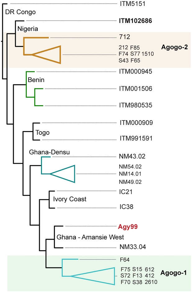 Fig 1