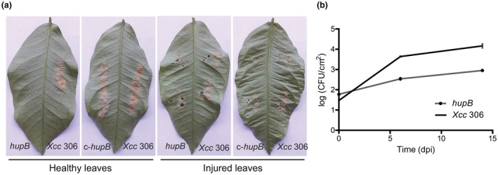 Figure 5