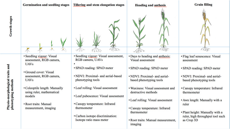 FIGURE 4