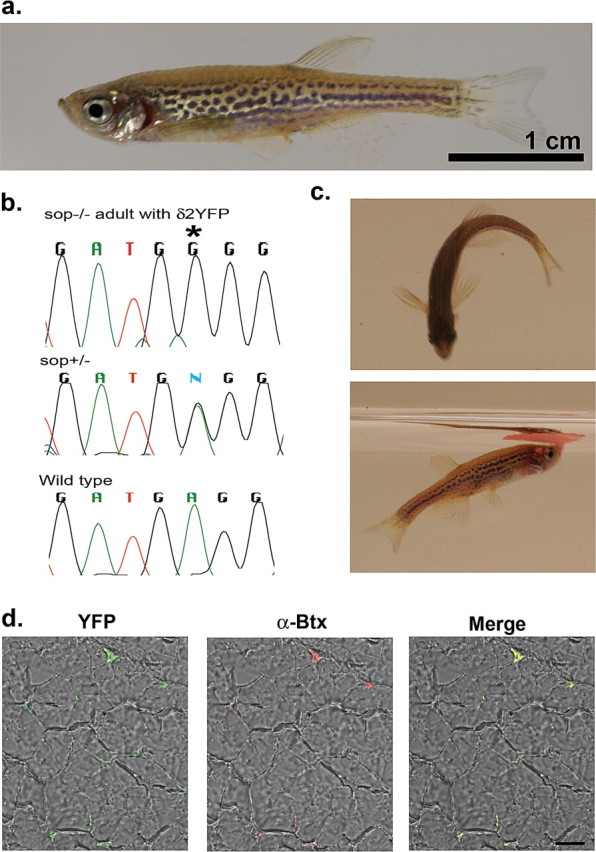 Figure 6.