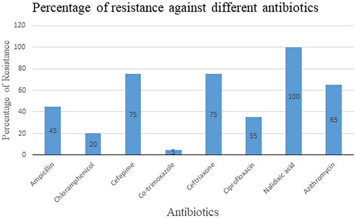 Figure 4.