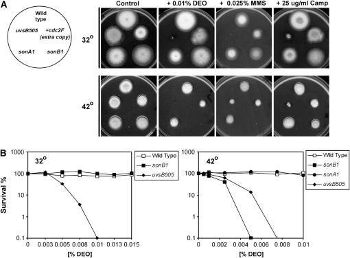 Figure 1.—