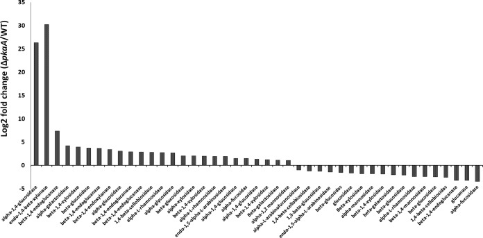 FIG 3