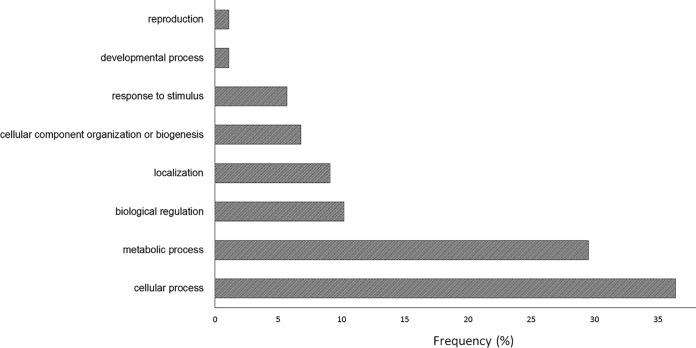 FIG 2