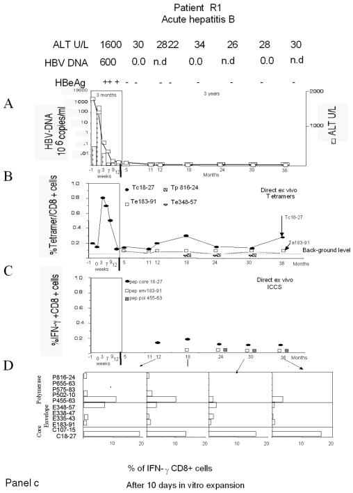 FIG. 1.