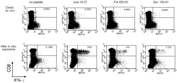 FIG. 3.