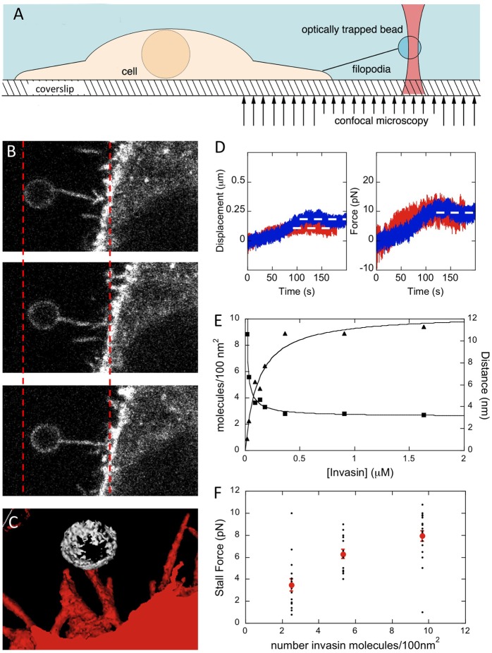 Fig. 1.