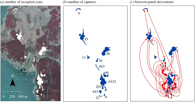 Figure 1.