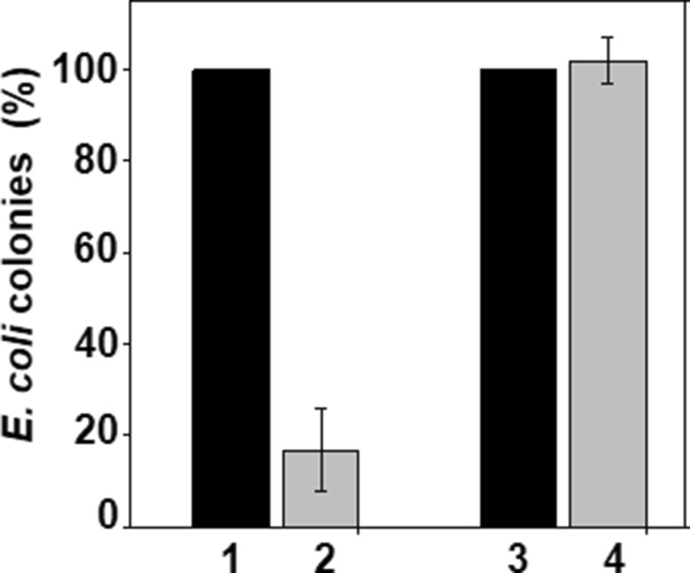 Fig. 3