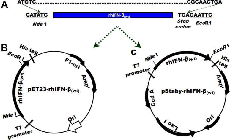 Fig. 1