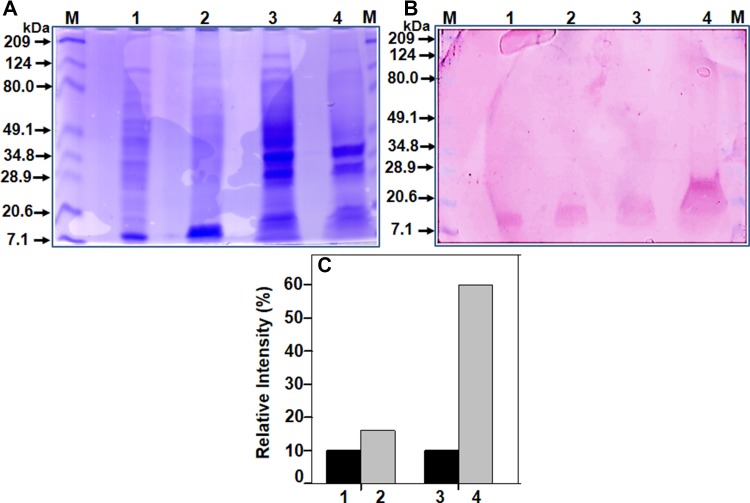 Fig. 4