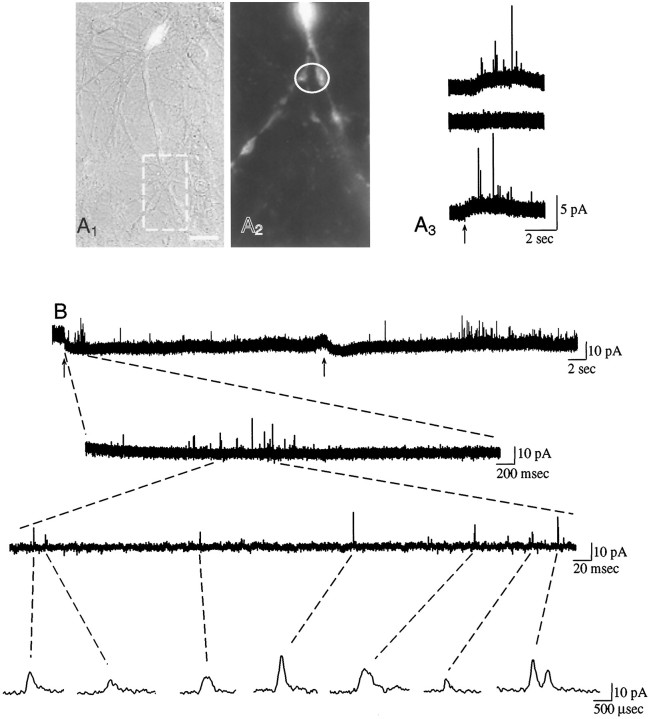 Fig. 2.