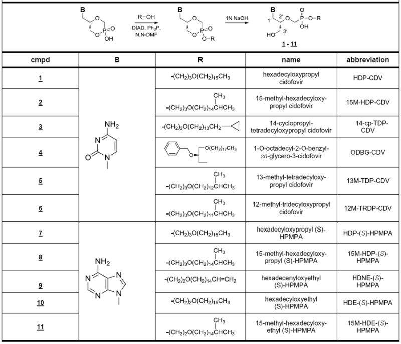 Scheme 1