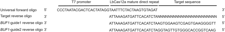 Figure 2