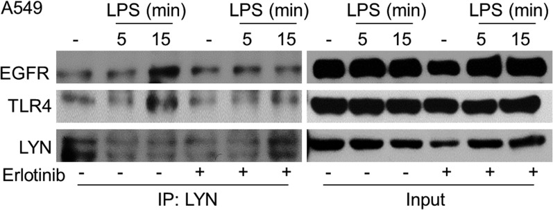 Fig. S7.