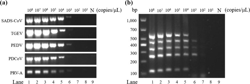 Fig. 5