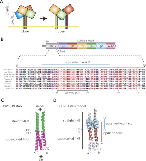 FIGURE 1.