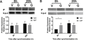 Figure 7