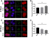 Figure 6