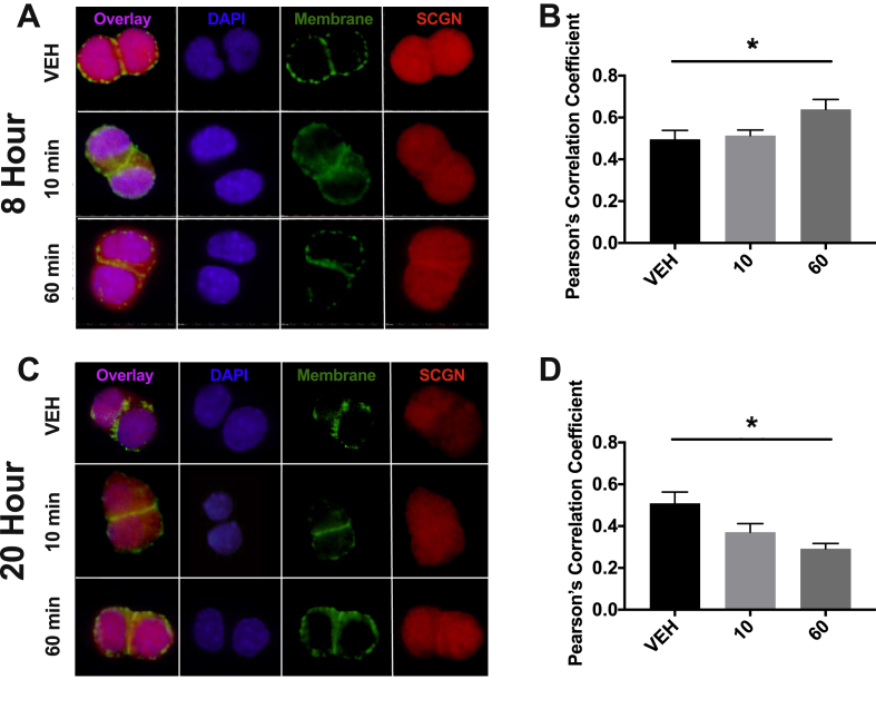 Figure 6