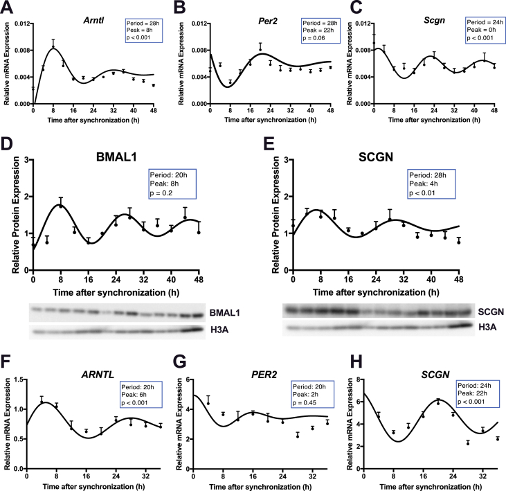 Figure 4