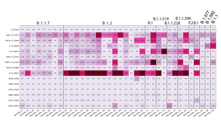 Figure 7—figure supplement 1.