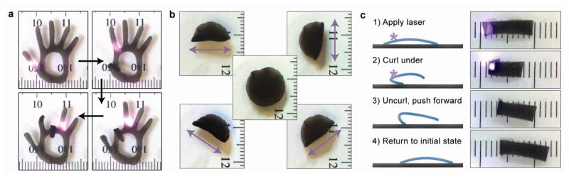 Figure 5