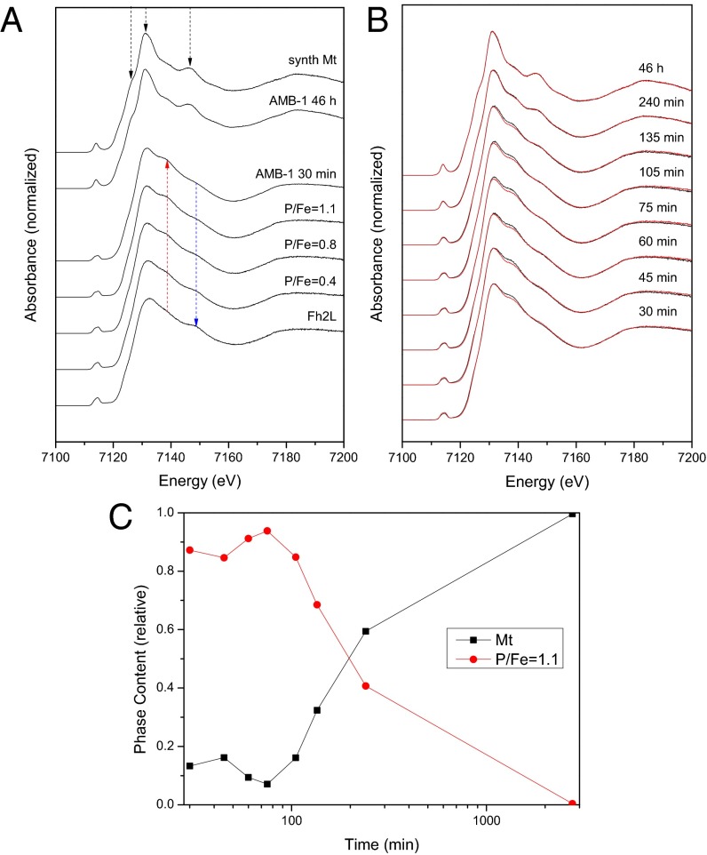 Fig. 1.