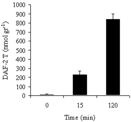 FIG. 6.