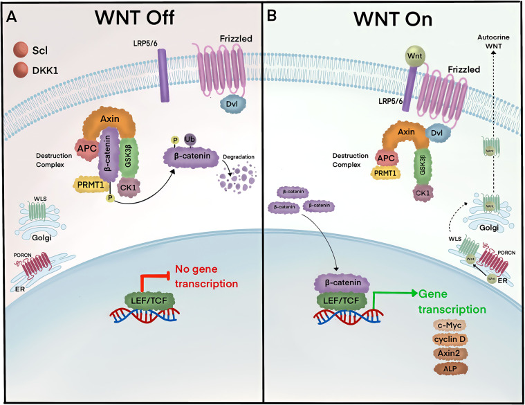 Figure 1