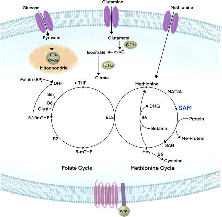 Figure 3