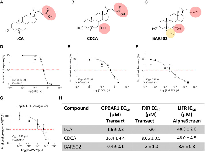 Figure 2