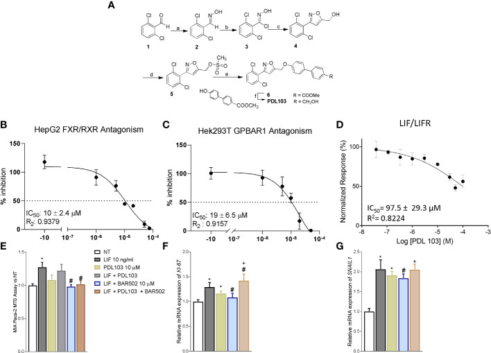 Figure 7