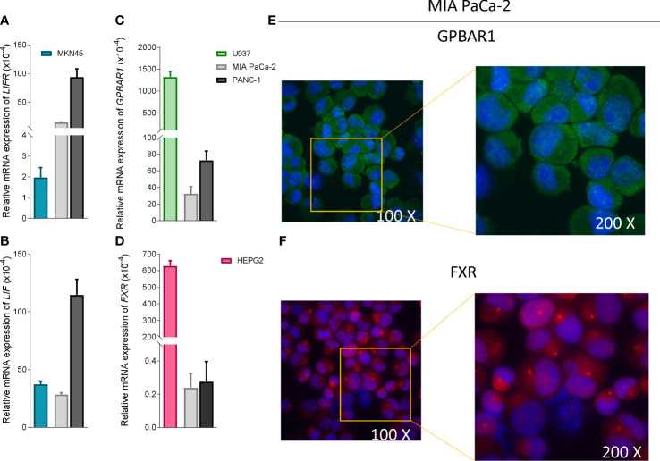 Figure 4